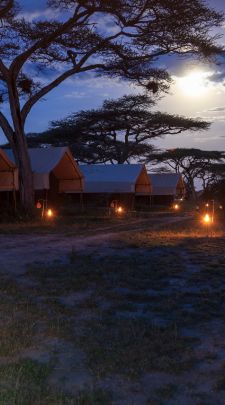 African safari tents at sunset, representing local adventure travel